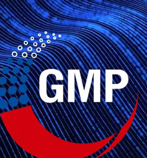 Юбилейная Десятая GMP-конференция