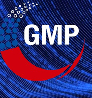 IX Всероссийская GMP-конференция с международным участием