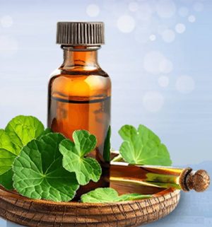 Ayurveda and Organic Expo 2025