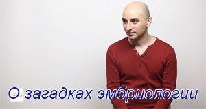 О загадках эмбриологии