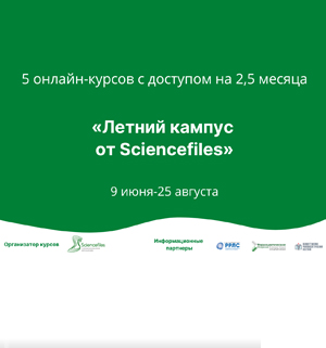 5 курсов по регдосье, райтингу и БС за 2,5 месяца