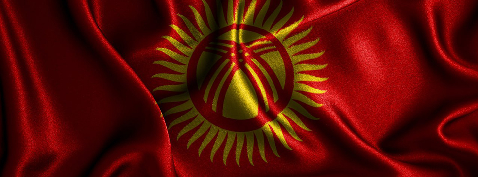 Кыргызстан внедрил механизм соплатежа в программе льготного лекобеспечения