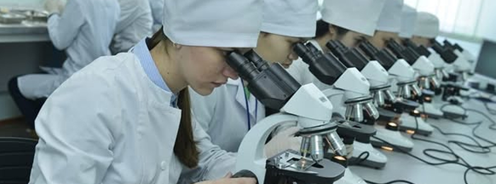 Караганда и Казань запустили совместную программу подготовки врачей на базе медуниверситетов