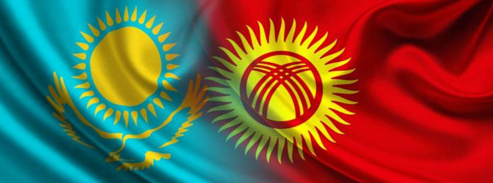 Казахстан и Кыргызстан начнут подготовку к совместным закупкам лекарств