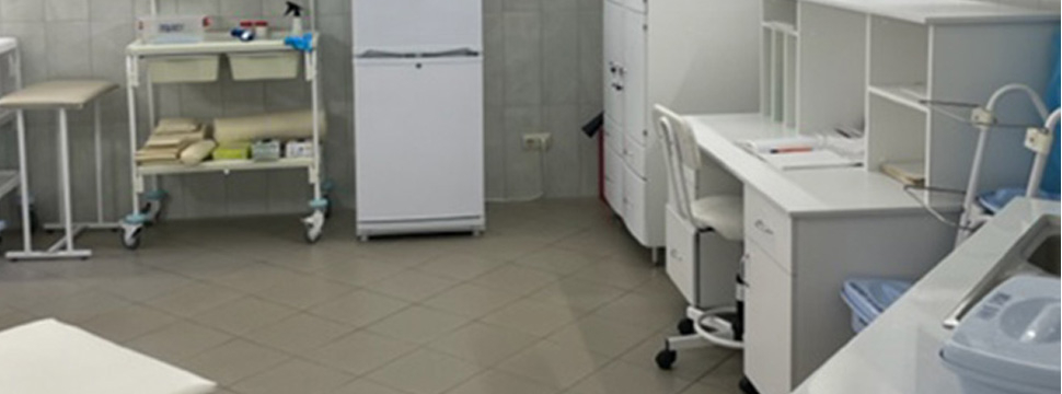 В Жамбылской области из 133 процедурных кабинетов - 91 объект прекратил работу