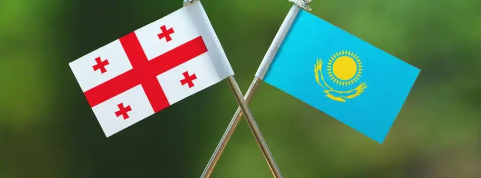 Казахстан и Грузия расширяют сотрудничество в сфере здравоохранения и фармацевтики