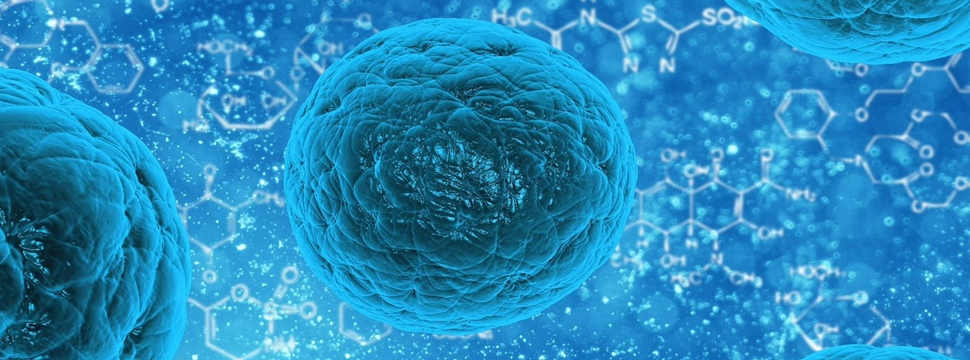 Biomaterials: генная терапия улучшила состояние межпозвонковых дисков
