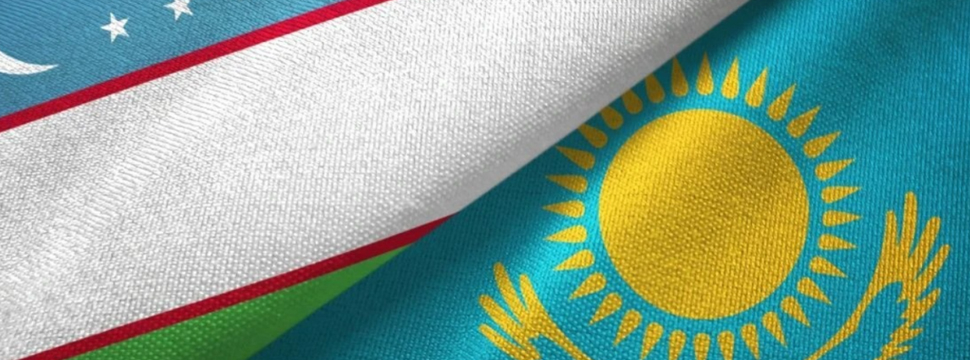 Не только на бумаге: Казахстан и Узбекистан запускают пилотный проект по совместным закупкам лекарств
