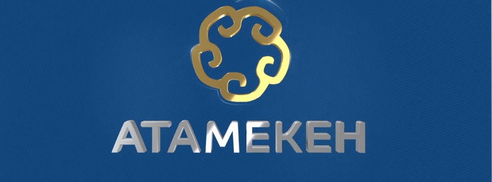 Поставщики лекарств и медизделий в Казахстане требуют доработки портала электронных закупок