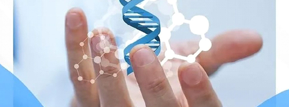 Cell: ученые нашли ключ к борьбе с устойчивостью меланомы к лекарствам