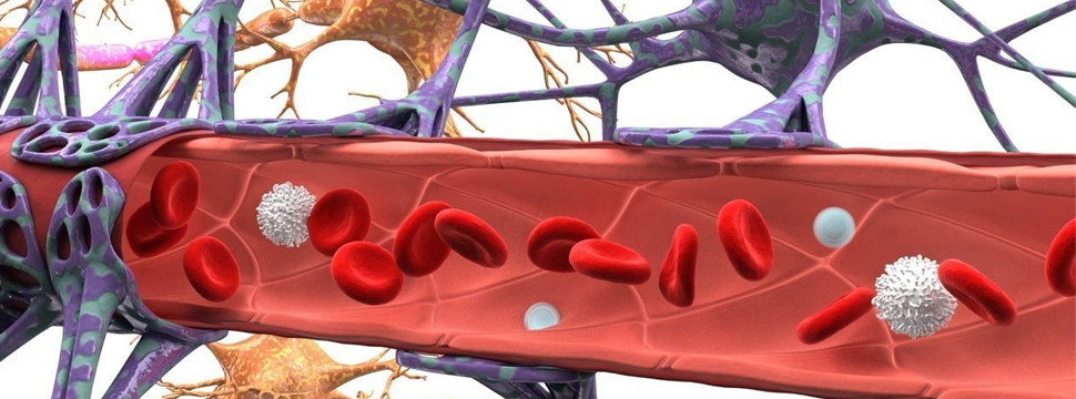 Science Bulletin: Созданы назальные капли для доставки лекарств в мозг