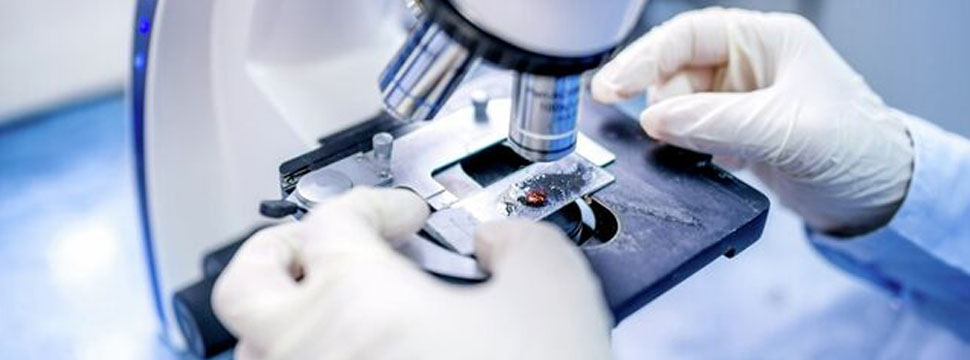 Новое соединение MCH11 снижает тягу к алкоголю, уменьшает тревогу и депрессию