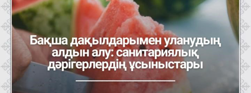 Что рекомендуют санитарные врачи для профилактики отравления бахчевыми